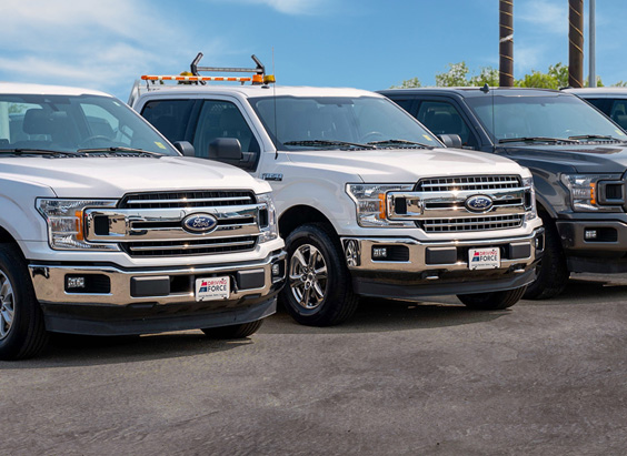 Driving Force - lineup of Ford trucks
